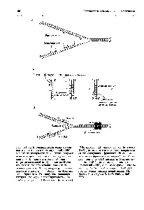 Lanțurile ARN sunt sintetizate în manualul de referință al chimistului 21
