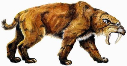 Кватернера на Cenozoic ера, описанието, историята и жителите