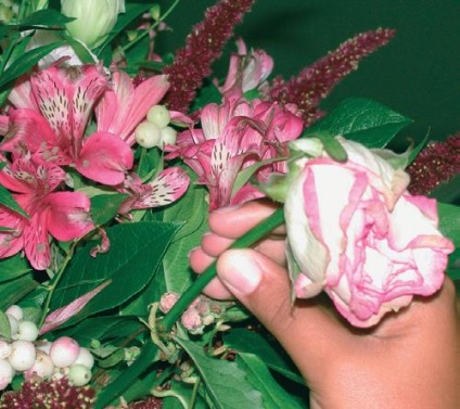 Ce să faci când observați vărsarea de flori, trandafiri de la 20 de ruble pentru sărbătorile și