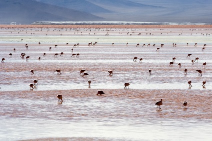 Miracol oglindă - lacul de sare uscat al lui Uyuni