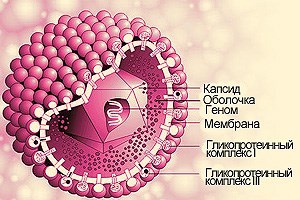 Cytomegalovirus la simptomele copiilor și tratamentul bolii