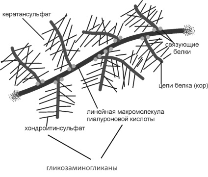 Dieta pentru osteoartrita articulatiilor, nutritie utila si daunatoare