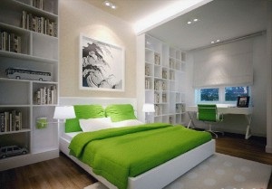 Dulap interior design