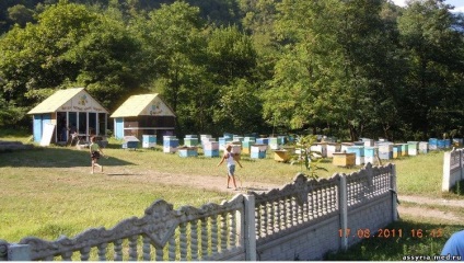 Agricultura în Abhazia