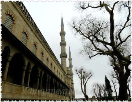 Blue sultanahmet moschee, voiaj cu Tatyana Vyotka