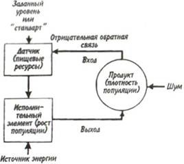 Homeostazia ecosistemului