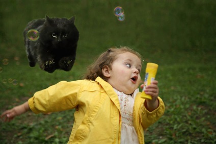 Internet mémek egy fekete macska