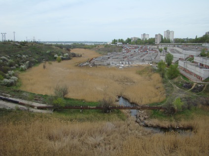 Istoria regiunii Volgograd