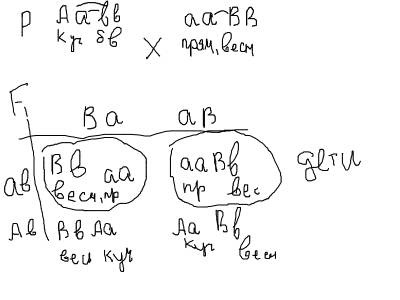 Oriole Biology Site Chemistry