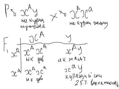 Oriole Biology Site Chemistry