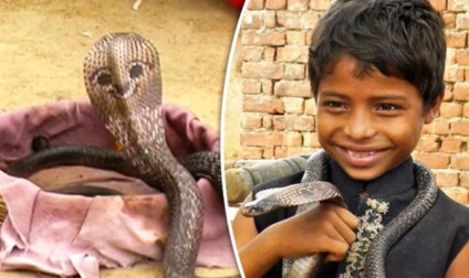 Cum copiii indieni devin charmeri de șarpe