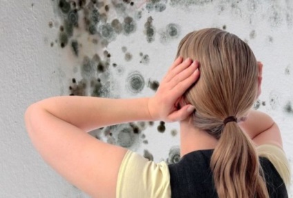 Cum să scapi de mucegai pe pereți cu peroxid de hidrogen, alcool, fotografii, video