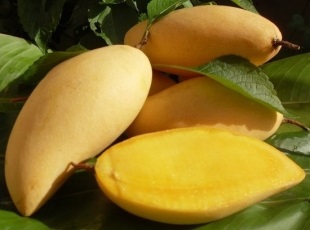 Cum sa mananci mango si cum se intampla in Thailanda