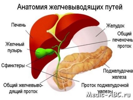 Hogyan kell kezelni epeúti dyskinesia