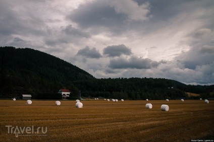 Cum am ajuns la iadul norvegian