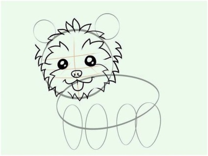 Cum de a desena un terrier yorkshire în creion în etape