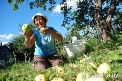 Cum să facilitați activitatea rezidentului de vară