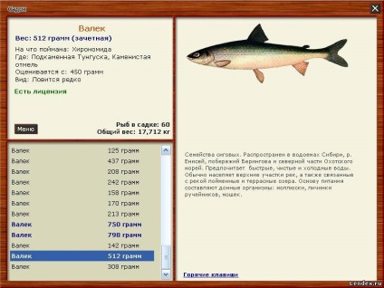 Cum de a prinde pește roșu pentru a prinde plase de pește roșu permis pescari amatori în Primorye