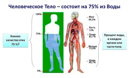 Как да наддават на тегло - блог - стая за пушачи