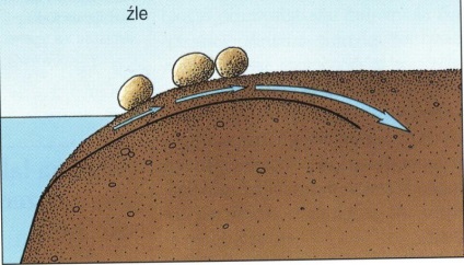 Cum să faci în mod corespunzător un mal al iazului - recomandări ale experților