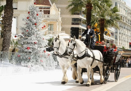 Cum să sărbătorim noul an pe coasta azură a Franței în Nisa, Monaco, Cannes