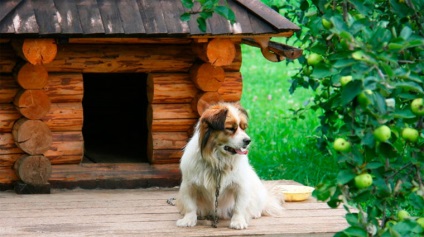 Cum să faci o cabină cu propriile tale mâini - planuri și fotografii