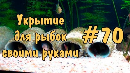 Cum sa faci un adăpost pentru peștii - forumul acvaristilor care urmăresc subiecte - adăposturi pentru pești