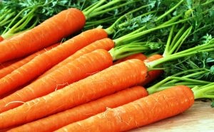Cum de a stoca morcovi în timpul iernii - acasă în pivniță, subsol în lut și alte căi