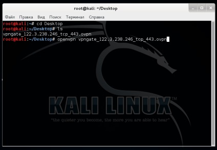 Kali linux