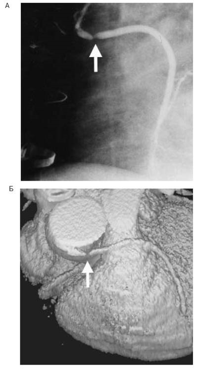 Cardiologic Herald