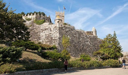 Castelul Koknese