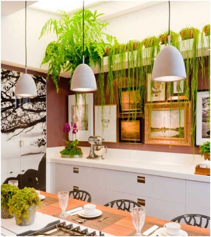 Plante interioare în interiorul bucătăriei