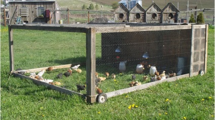 Csirke traktor (mozgatható coop) - áttekintés