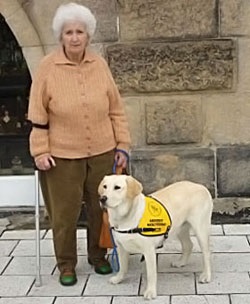 Labrador retrievers, articole