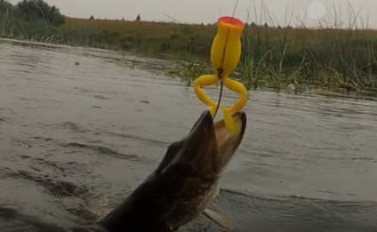 Pike halászat mesterséges béka fogaskerék, kábelezés