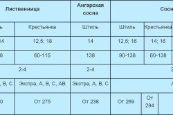 Материали за довършителни екстериор на дървена къща правила опция препоръка (снимка)