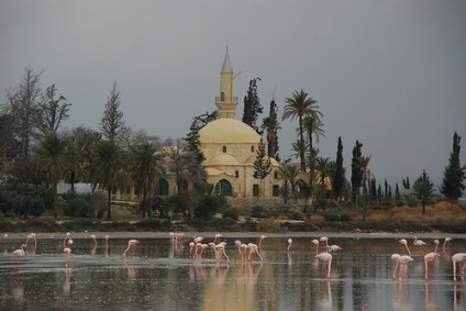 Moscheea sultanului Tekke din larnaca