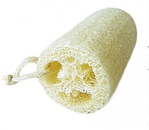 Loofah loofah