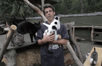 Omul a creat o casă pentru pisicile fără adăpost, în memoria fiului său mort