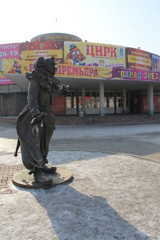 La circ circa · tăiat · știri oraș Krasnoyarsk
