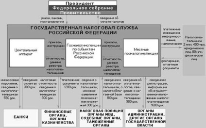 Istoria dezvoltării fiscale, principii, funcții - teoria economică