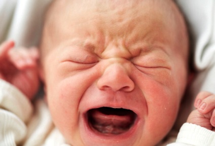 Fruntea nasului cu bebelușii de mâncare face ceea ce fac părinții