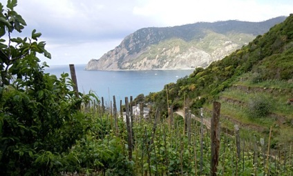 Parcul național Liguria - Cinque Terre