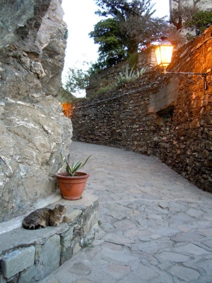 Parcul național Liguria - Cinque Terre