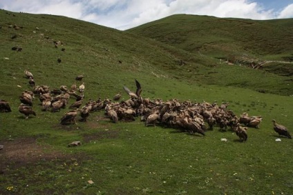 Inmormântarea inimii în Tibet (nervos să nu te uiți!)