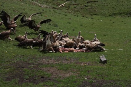 Inmormântarea inimii în Tibet (nervos să nu te uiți!)