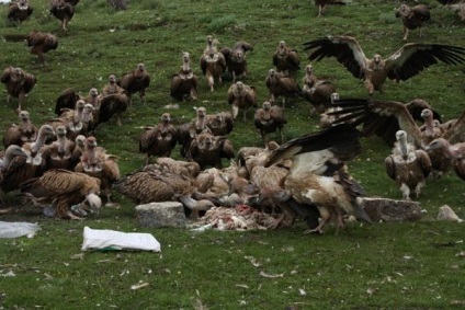 Inmormântarea inimii în Tibet (nervos să nu te uiți!)