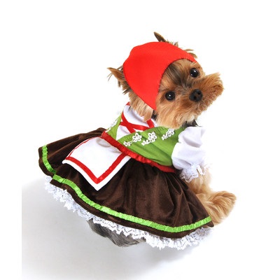 Îmbrăcăminte și accesorii pentru Yorkshire Terrier, Chihuahua și Spitz Pomeranian (foto)