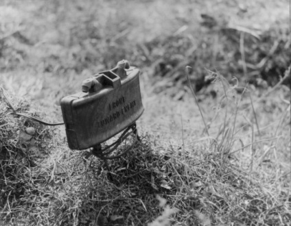 Armele interzise de minele antipersonal, buletinul armatei