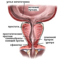 Principalele probleme cu prostata